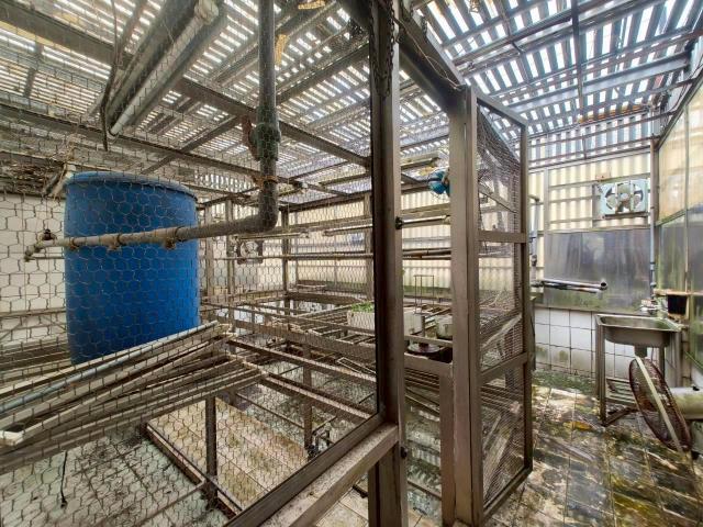 桃園中壢透天-1