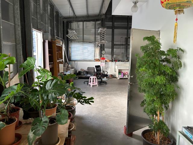 桃園大溪透天-3