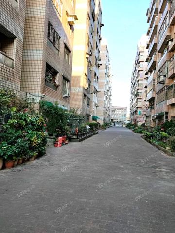 桃園華廈-5