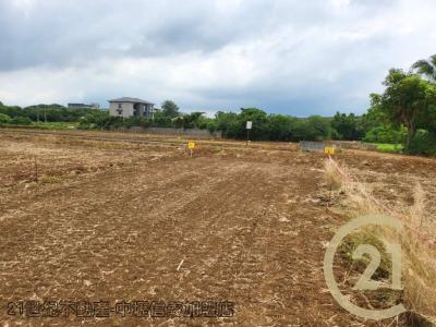 桃園平鎮農地-12