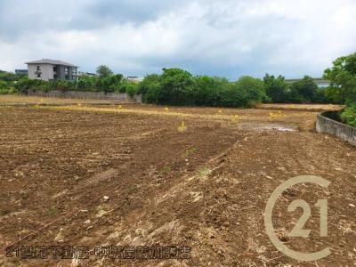 桃園平鎮農地-13