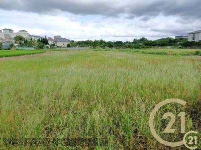 桃園平鎮農地-6