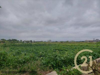 桃園楊梅農地-3