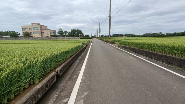 楊梅農地-6
