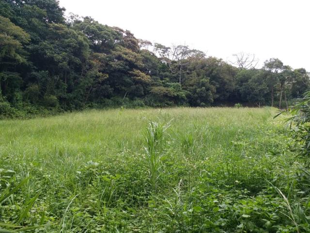楊梅建地-4