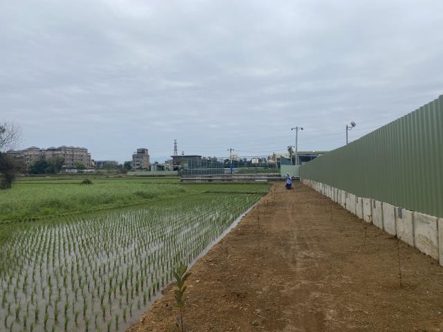 中壢農地-4