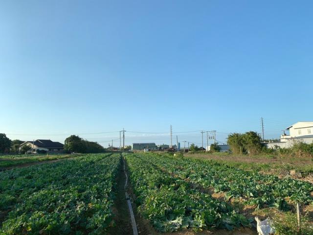 桃園新屋農地-4