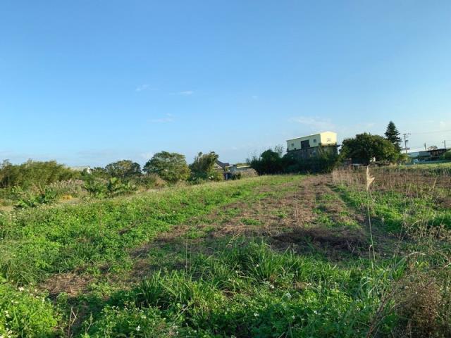 桃園新屋農地-6