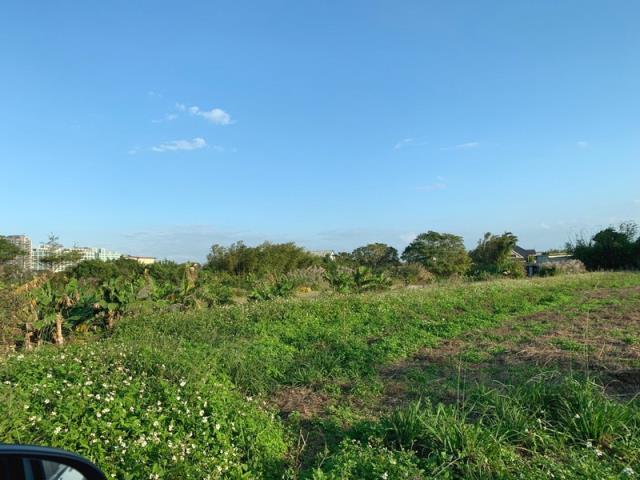 桃園新屋農地-7