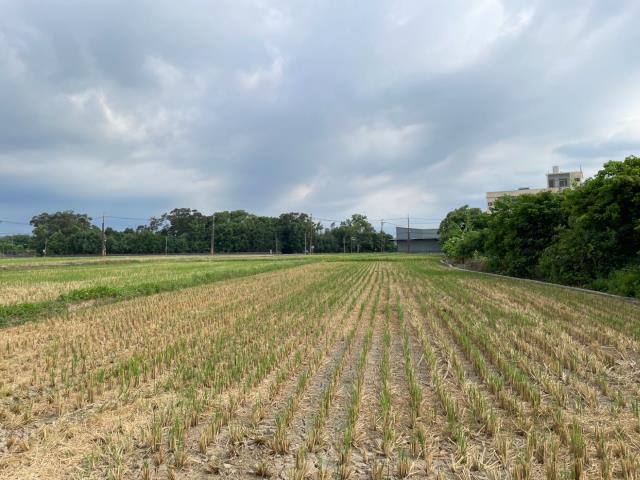 平鎮農地-0