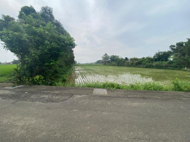 觀音農地-0