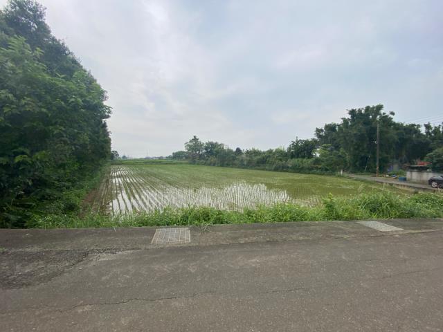 觀音農地-1