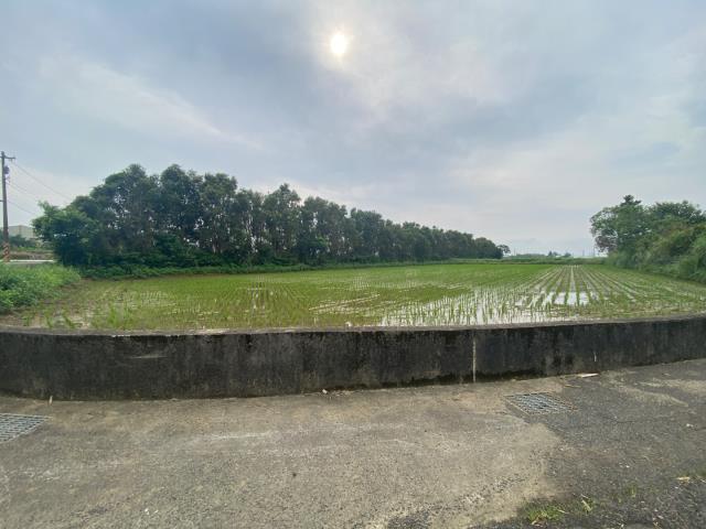 觀音農地-6