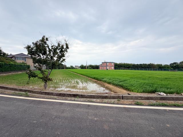 觀音農地-3