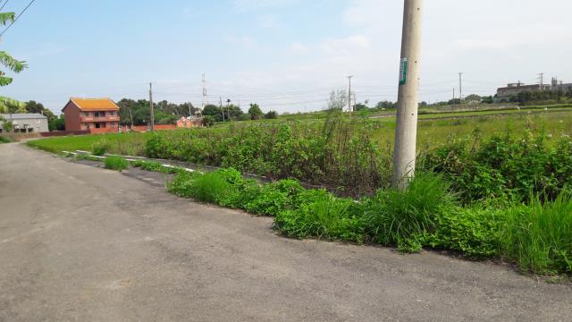 桃園農地-2