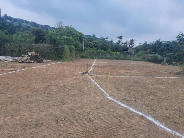 桃園農地-1