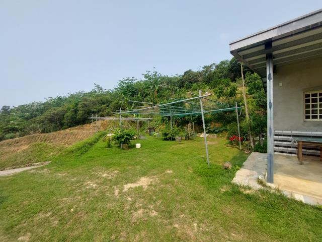 新竹新埔農地-11