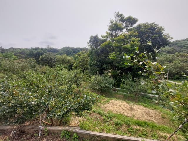 新竹新埔農地-12