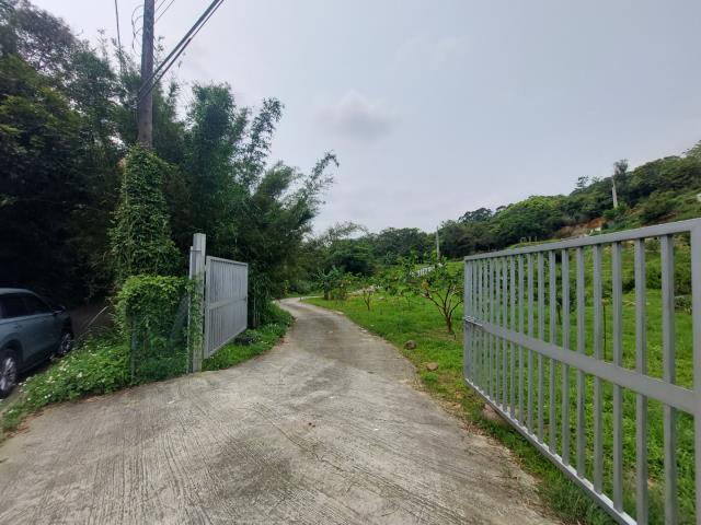 新竹新埔農地-3