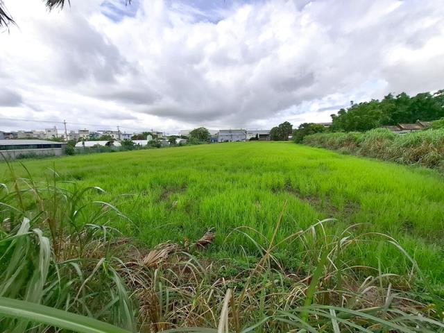 桃園楊梅農地-0