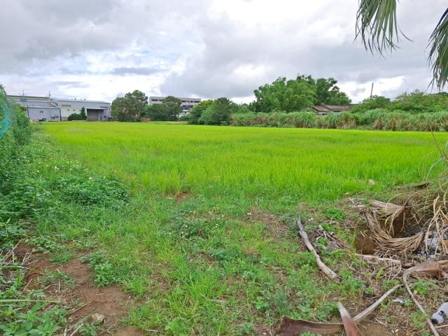 桃園楊梅農地-2