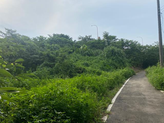 桃園農地-10