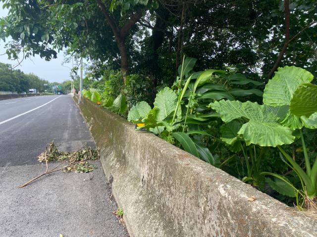 桃園農地-4