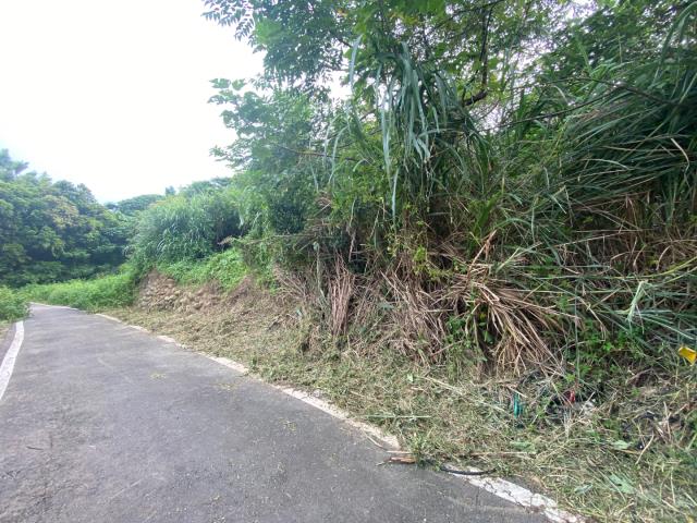 桃園農地-6