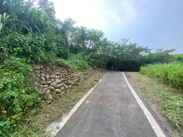 桃園農地-8