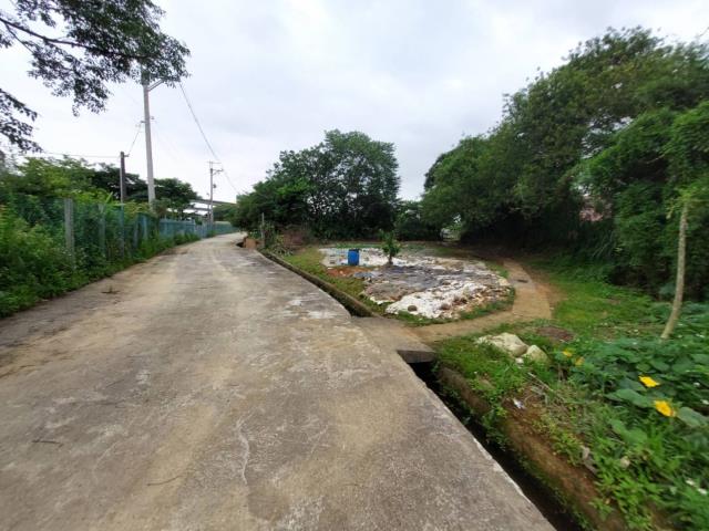 桃園平鎮農地-4