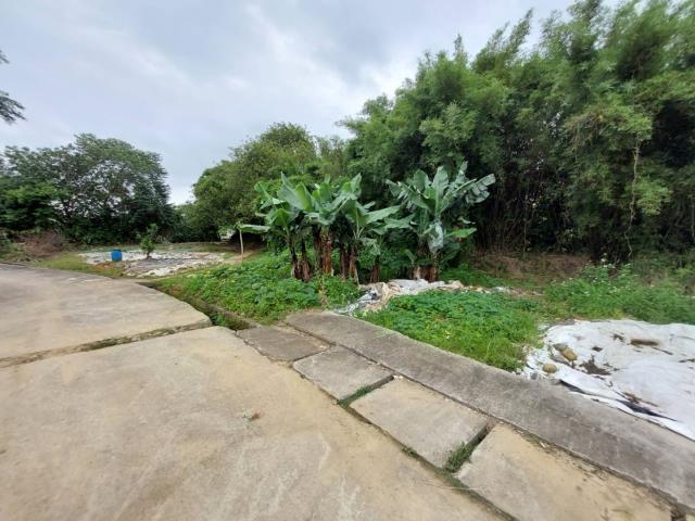 桃園平鎮農地-5