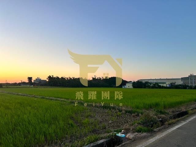 大園農地-1