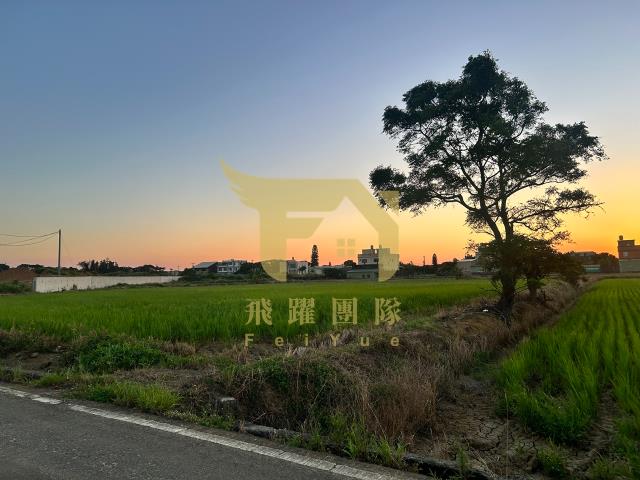 大園農地-3