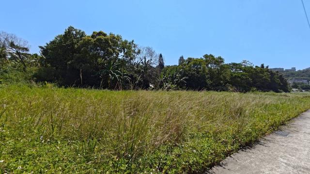 龍潭農地-9
