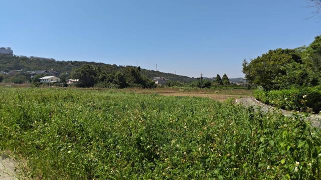 龍潭農地-10