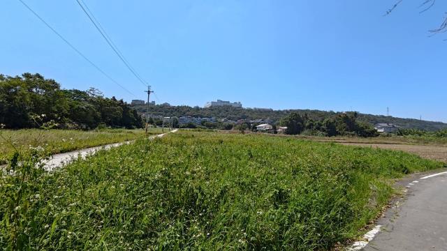 龍潭農地-4