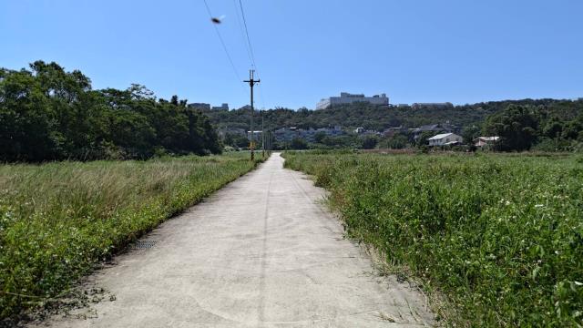 龍潭農地-0