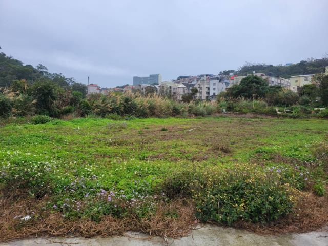 龍潭農地-5