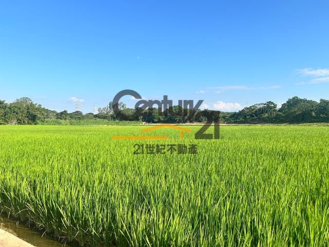 楊梅農地-2