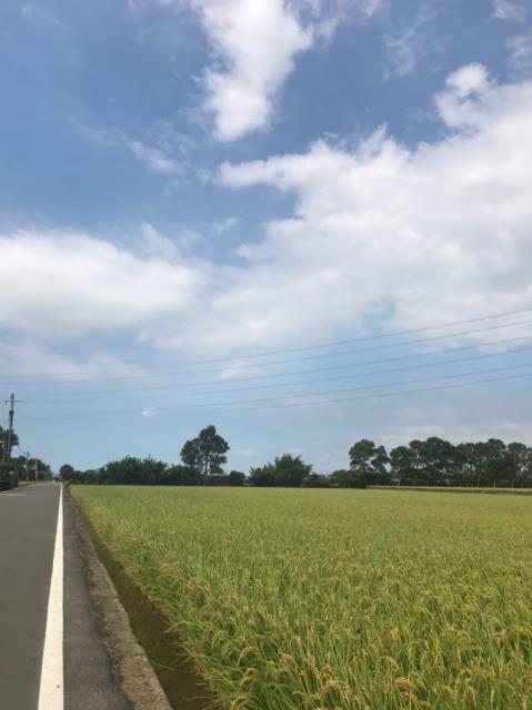 桃園農地-9