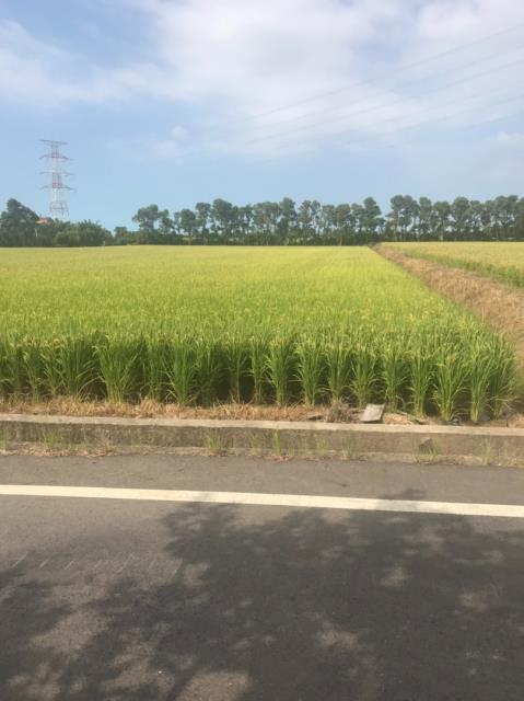 桃園農地-10